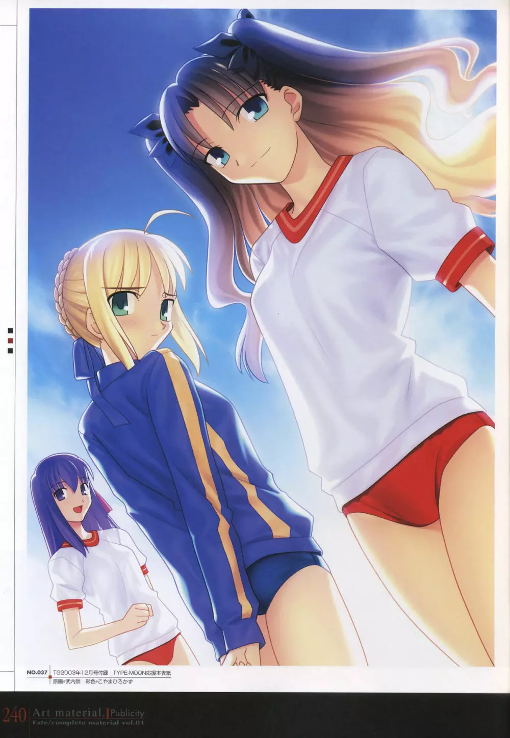 フェイト/コンプリートマテリアルⅠ アートマテリアル。 Page.245