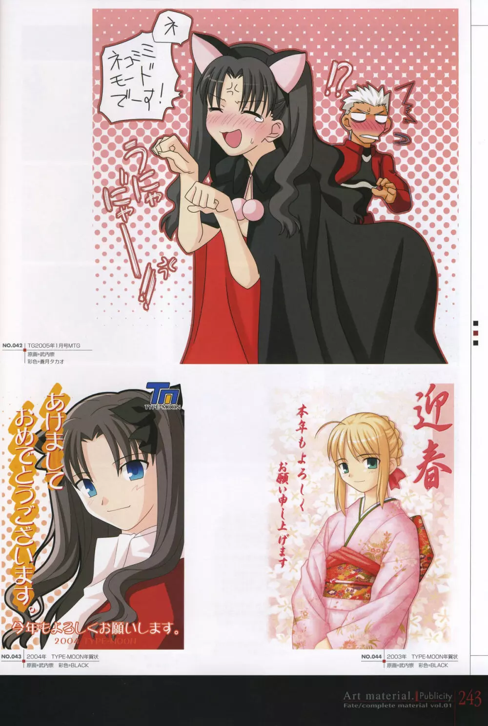 フェイト/コンプリートマテリアルⅠ アートマテリアル。 Page.248