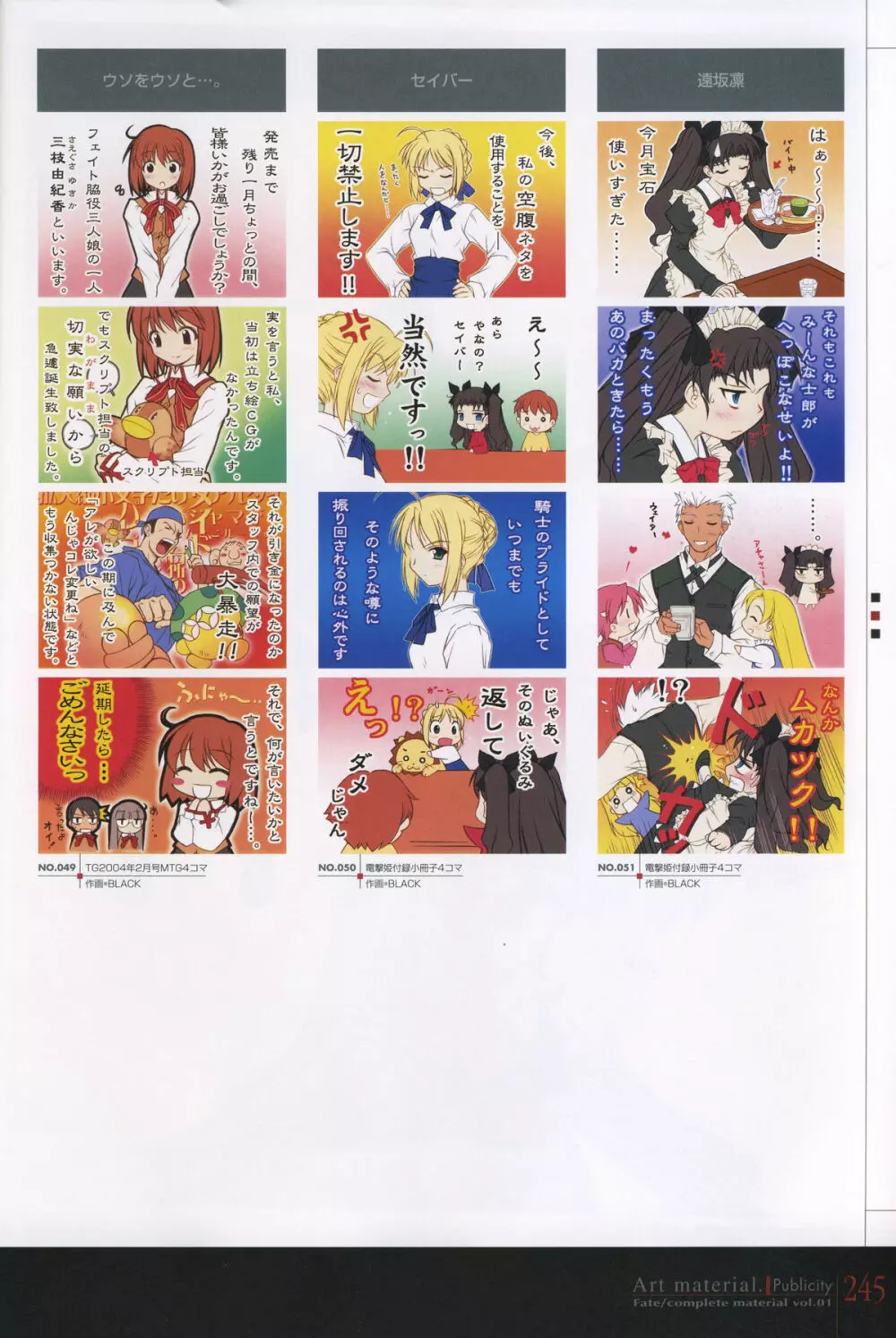 フェイト/コンプリートマテリアルⅠ アートマテリアル。 Page.250