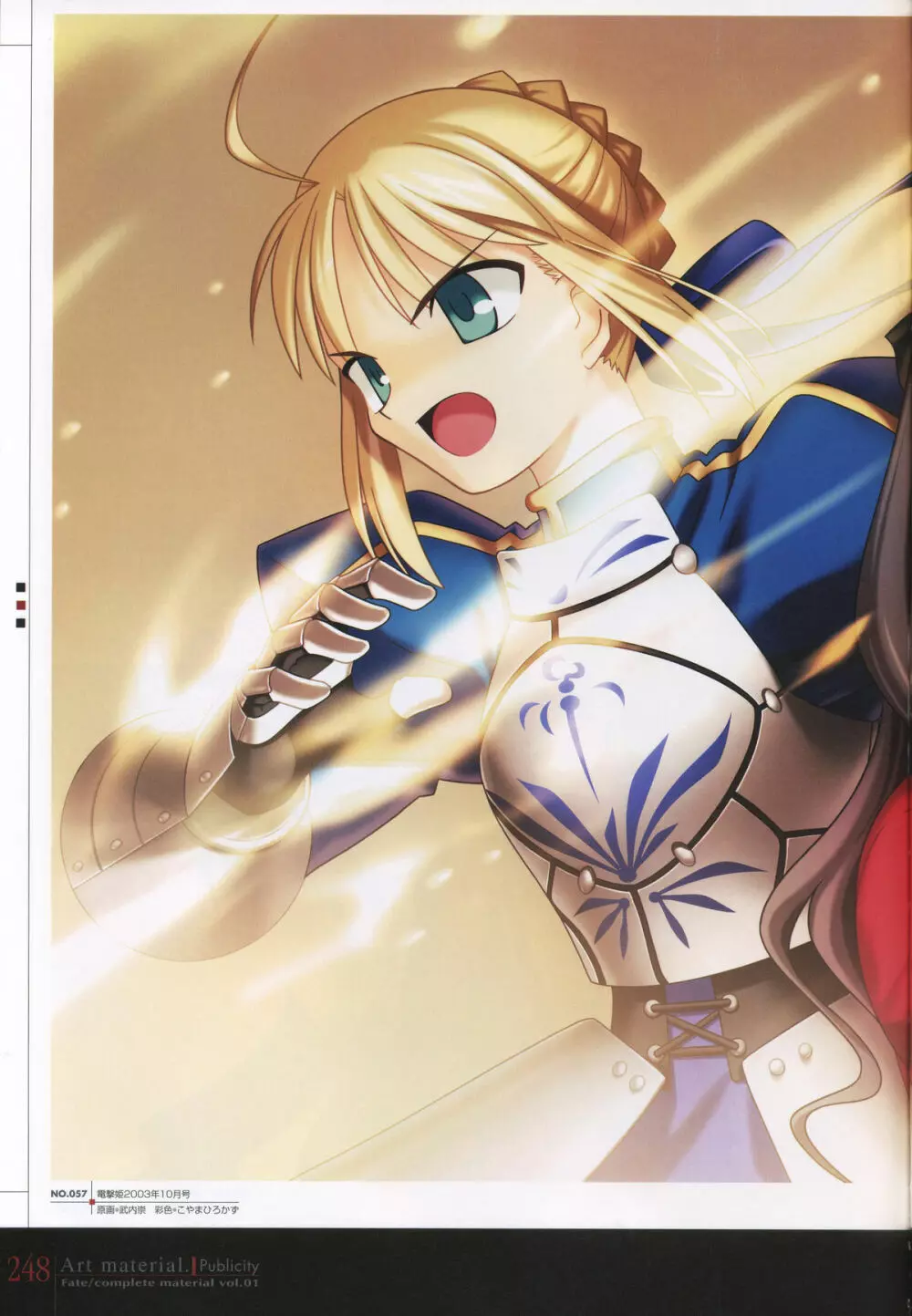 フェイト/コンプリートマテリアルⅠ アートマテリアル。 Page.253