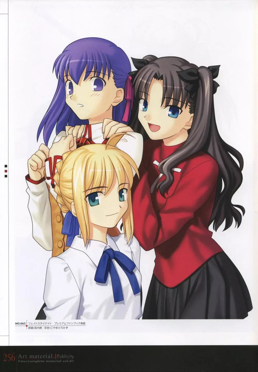フェイト/コンプリートマテリアルⅠ アートマテリアル。 Page.261