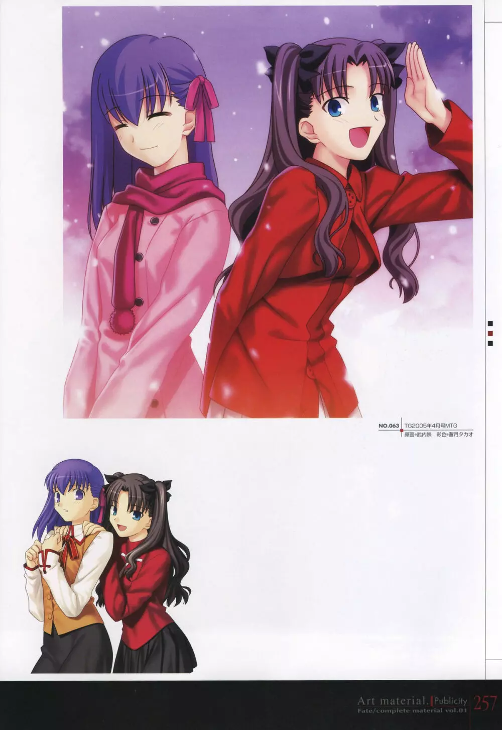 フェイト/コンプリートマテリアルⅠ アートマテリアル。 Page.262