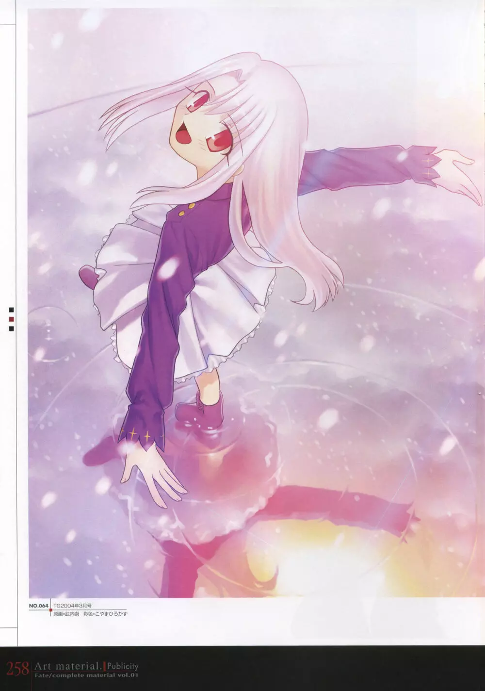 フェイト/コンプリートマテリアルⅠ アートマテリアル。 Page.263