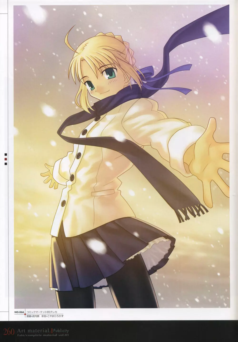 フェイト/コンプリートマテリアルⅠ アートマテリアル。 Page.265
