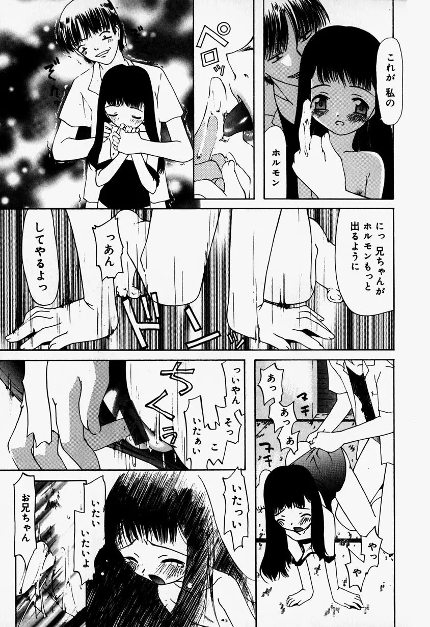 リトルピアス Vol.37 Page.163