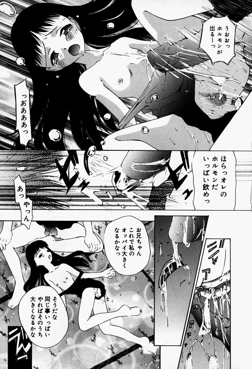 リトルピアス Vol.37 Page.167