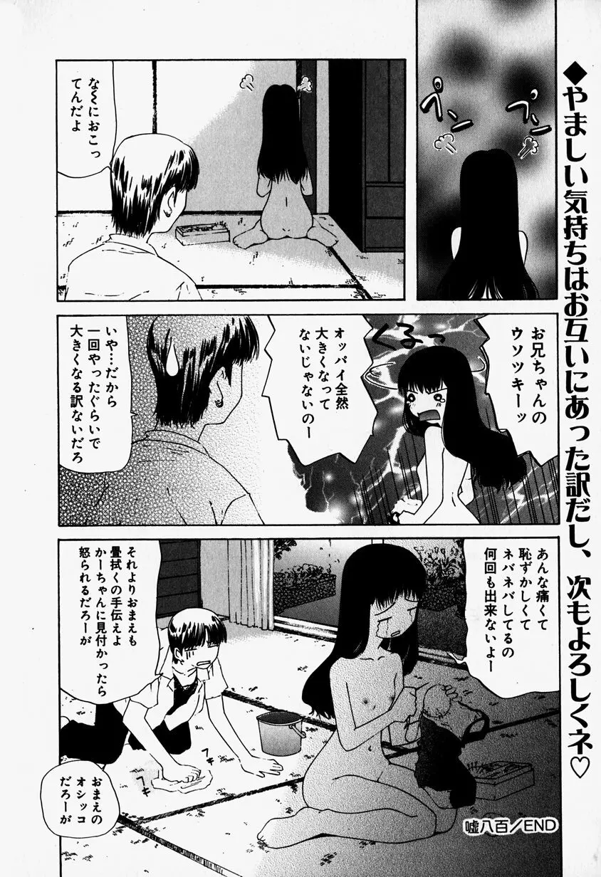 リトルピアス Vol.37 Page.168