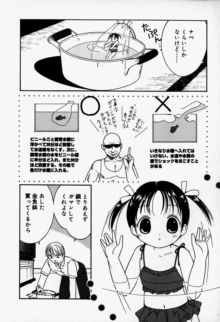 リトルピアス Vol.37 Page.78