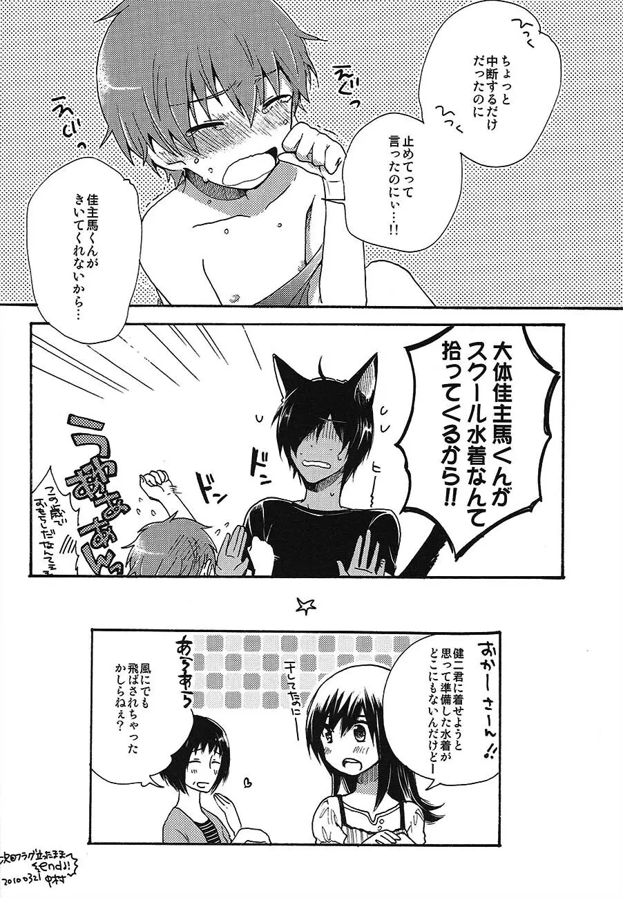 [USAcafe、Orca (にゃろ、中村) KING OF にゃんこ (サマーウォーズ) Page.18