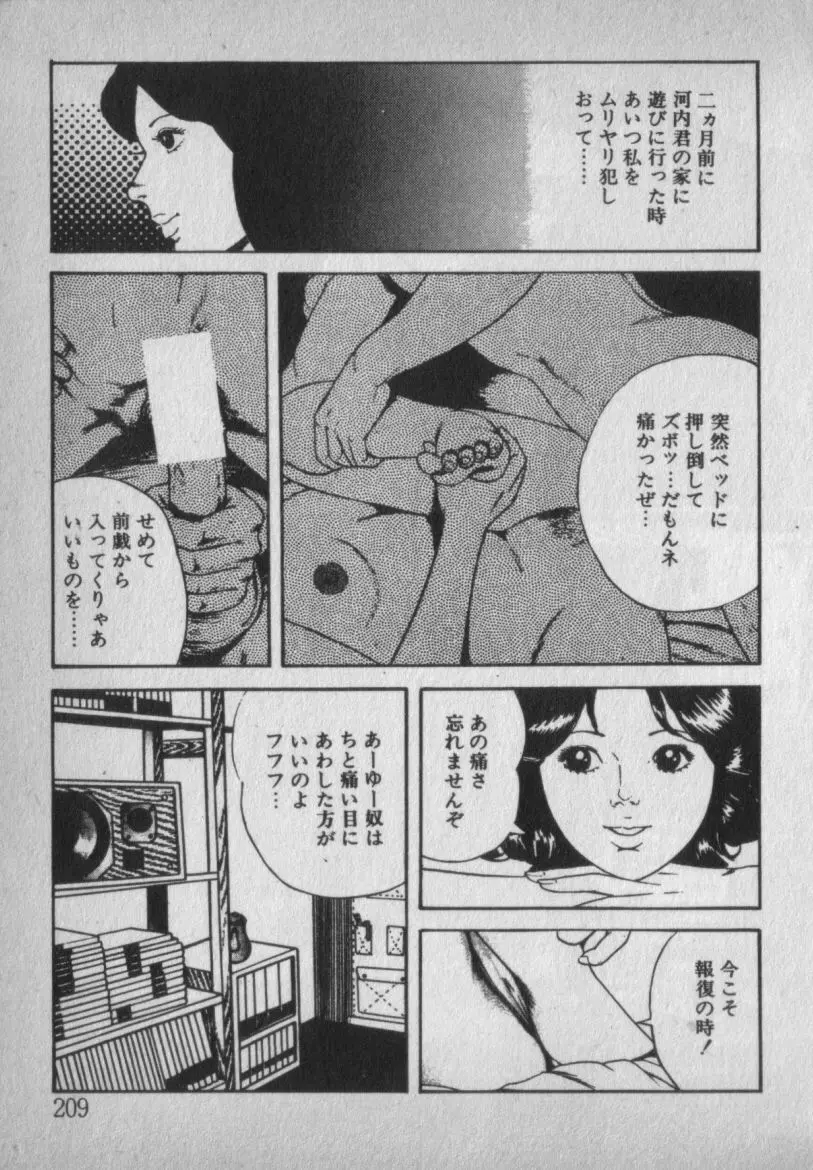 挑発させて Page.209