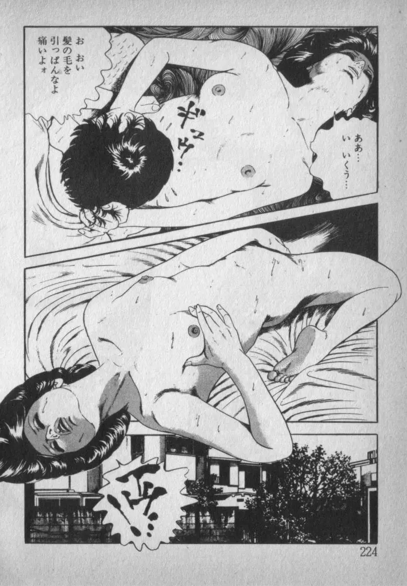 挑発させて Page.224
