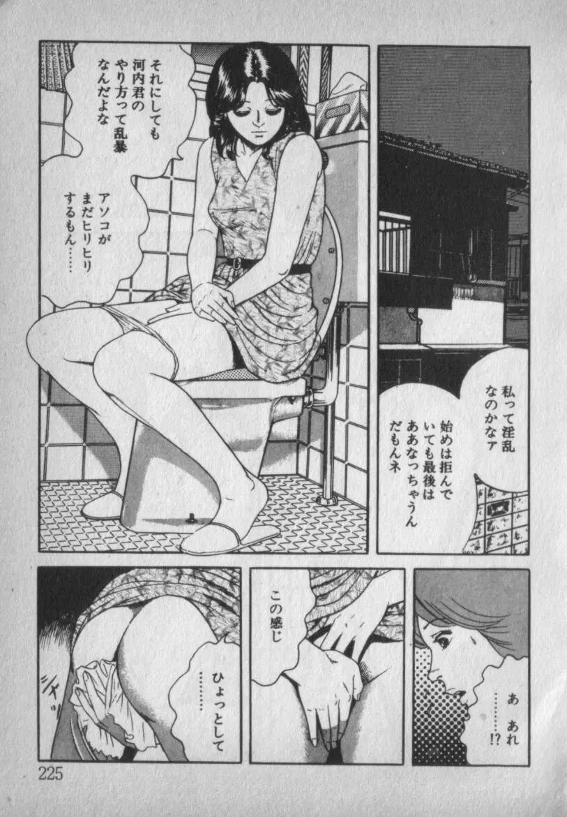 挑発させて Page.225