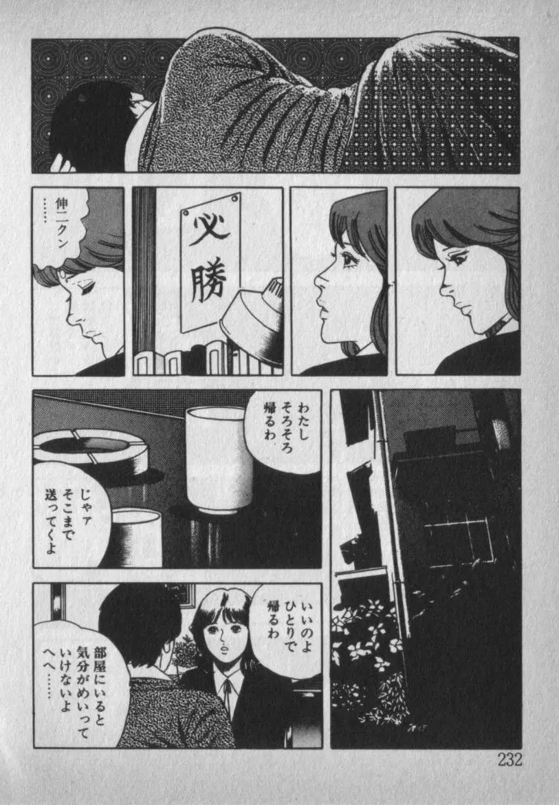 挑発させて Page.232