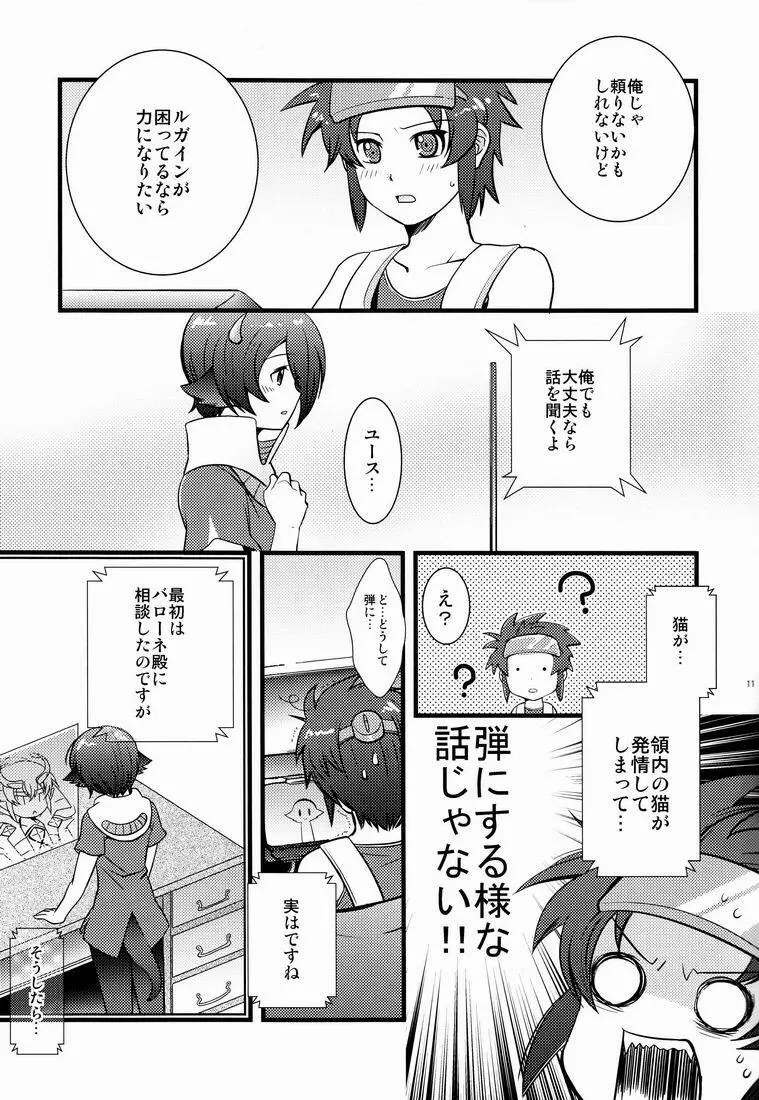 ふれてみないとわかりませんか? Page.10