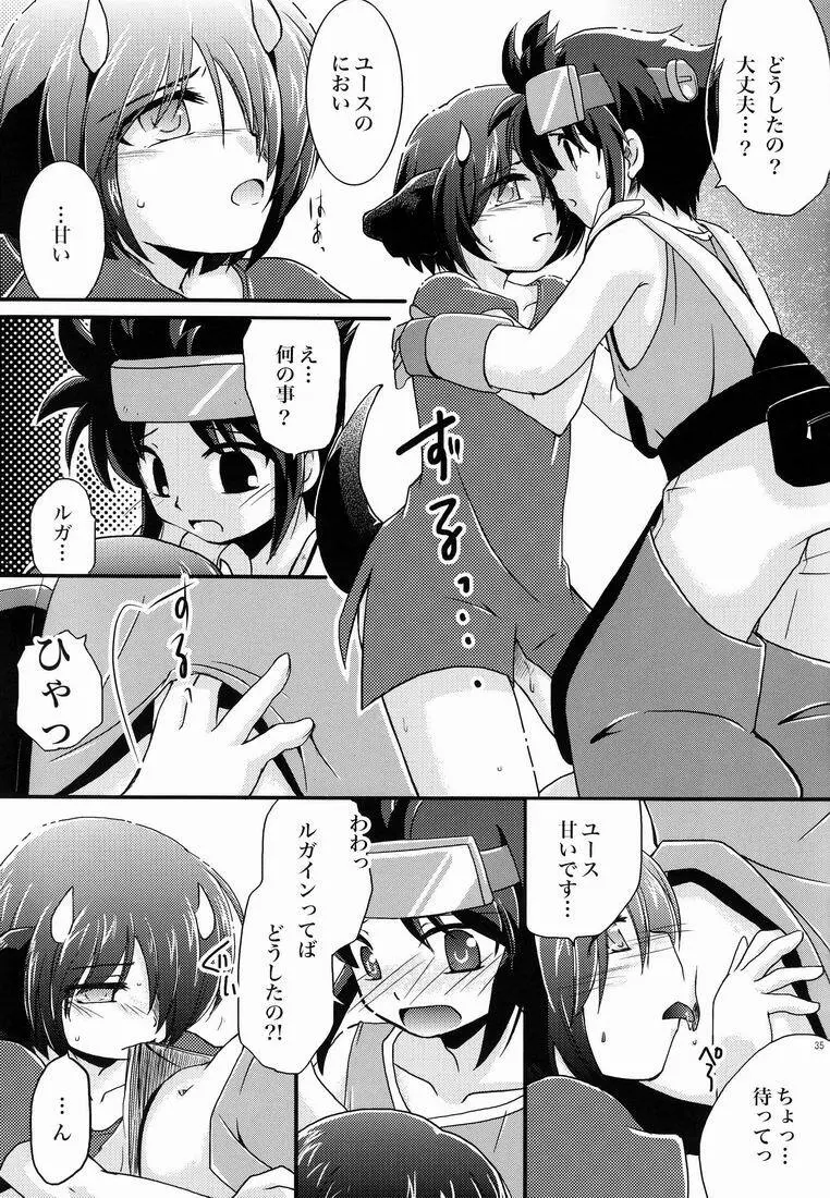 ふれてみないとわかりませんか? Page.34