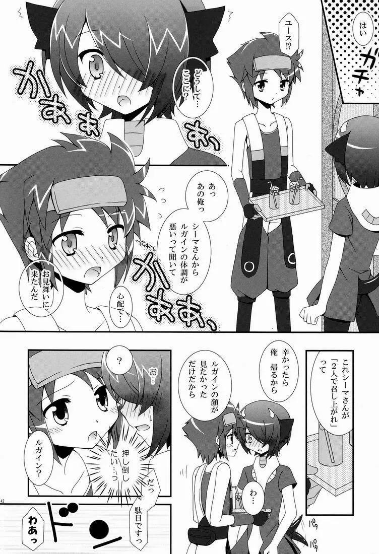 ふれてみないとわかりませんか? Page.41