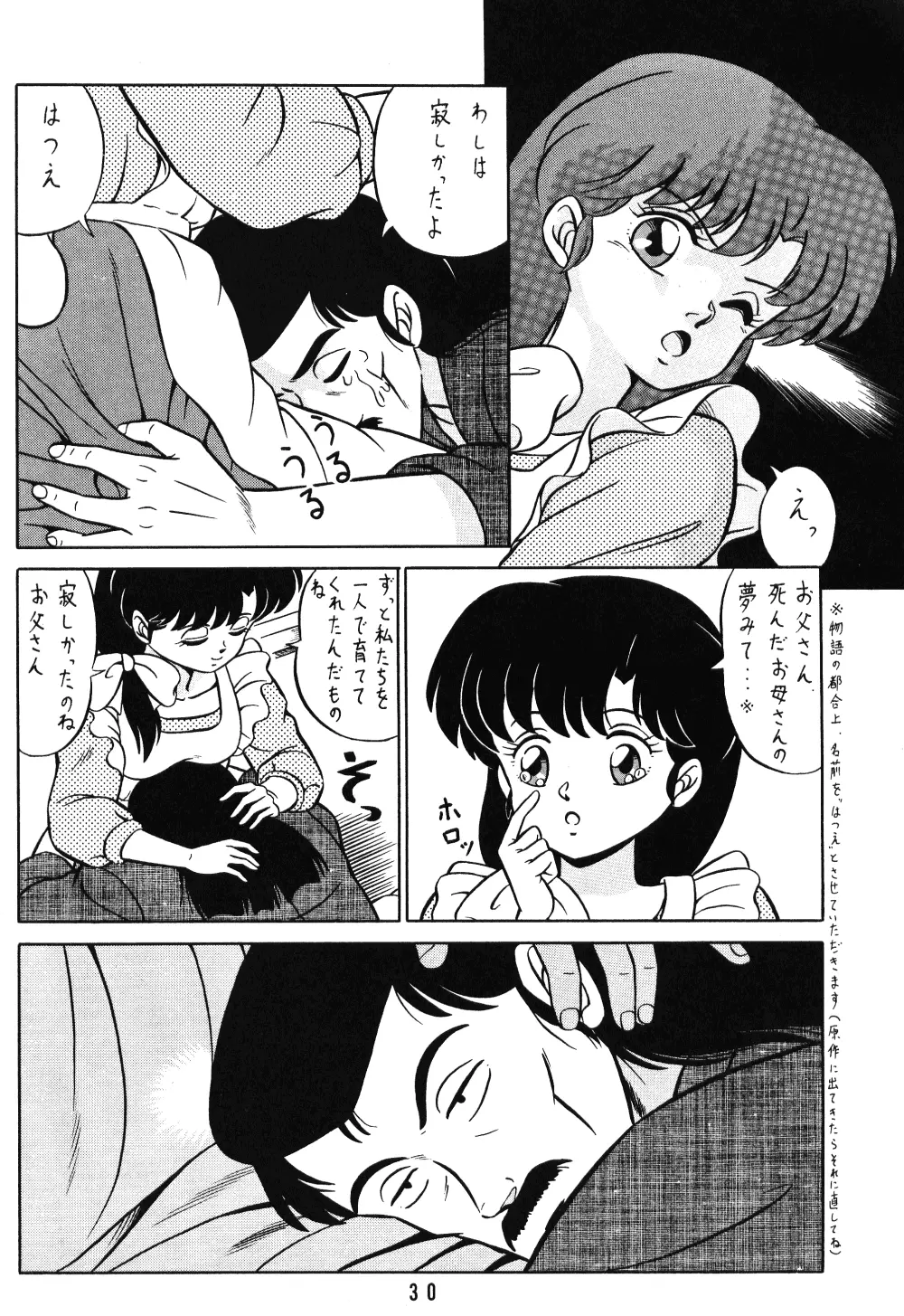 天道家の娘たち Vol.1 Page.29