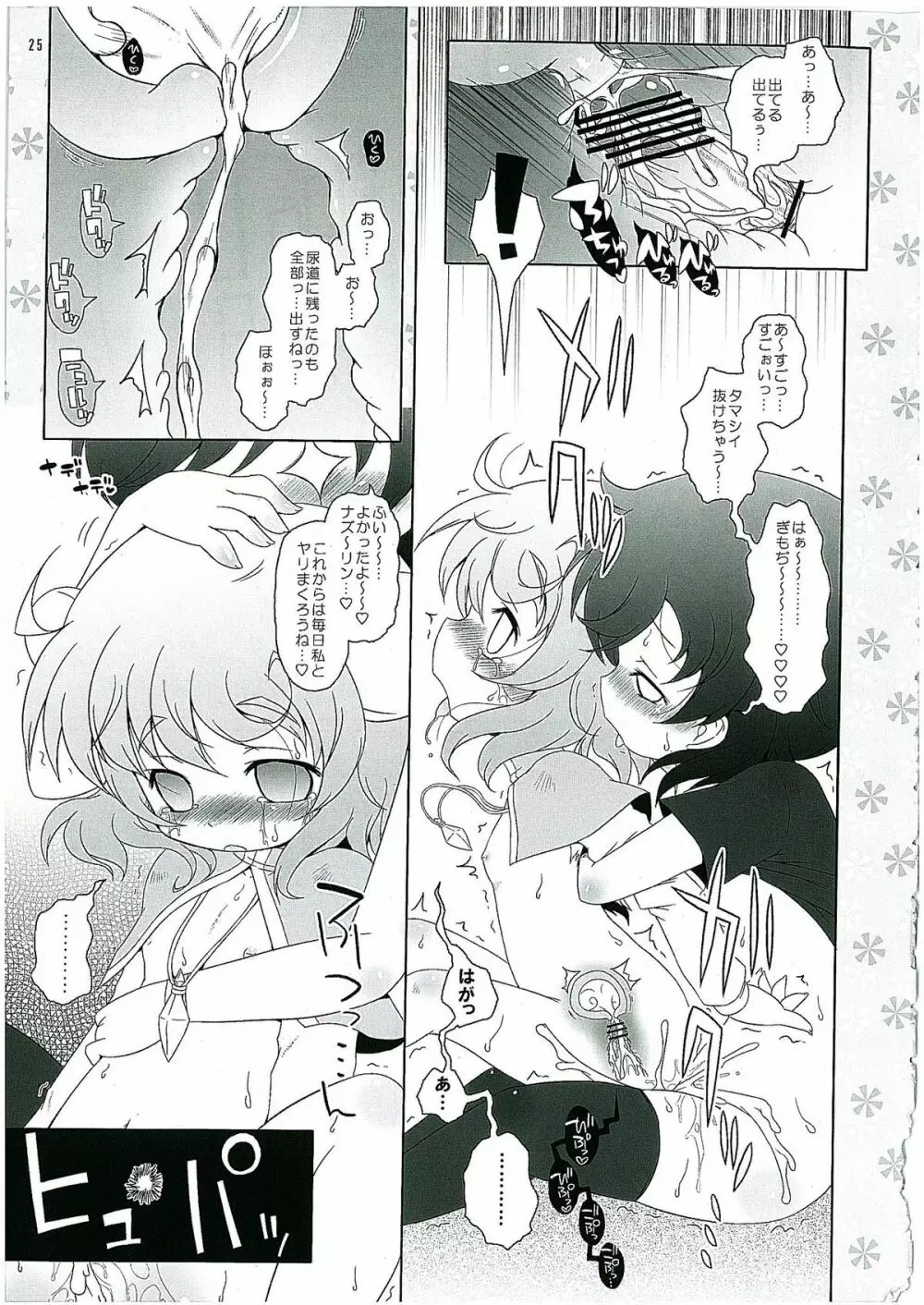 わたしのナズーリン2 Page.24