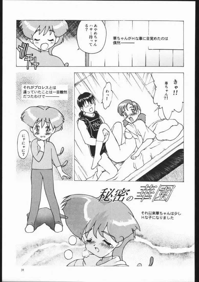 GAO Paradise XXXm Page.30