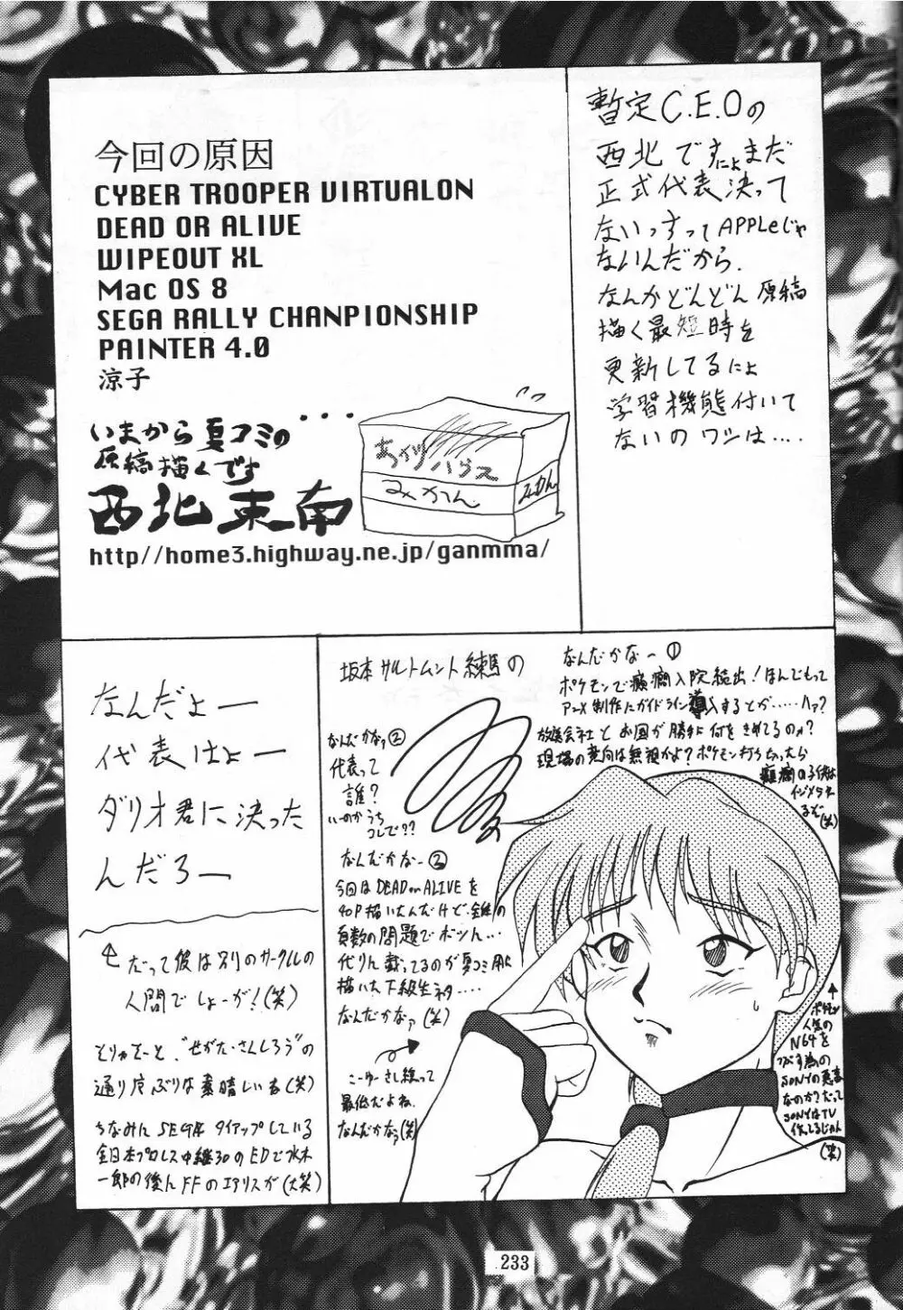 編笠Nan Demo-R Page.239