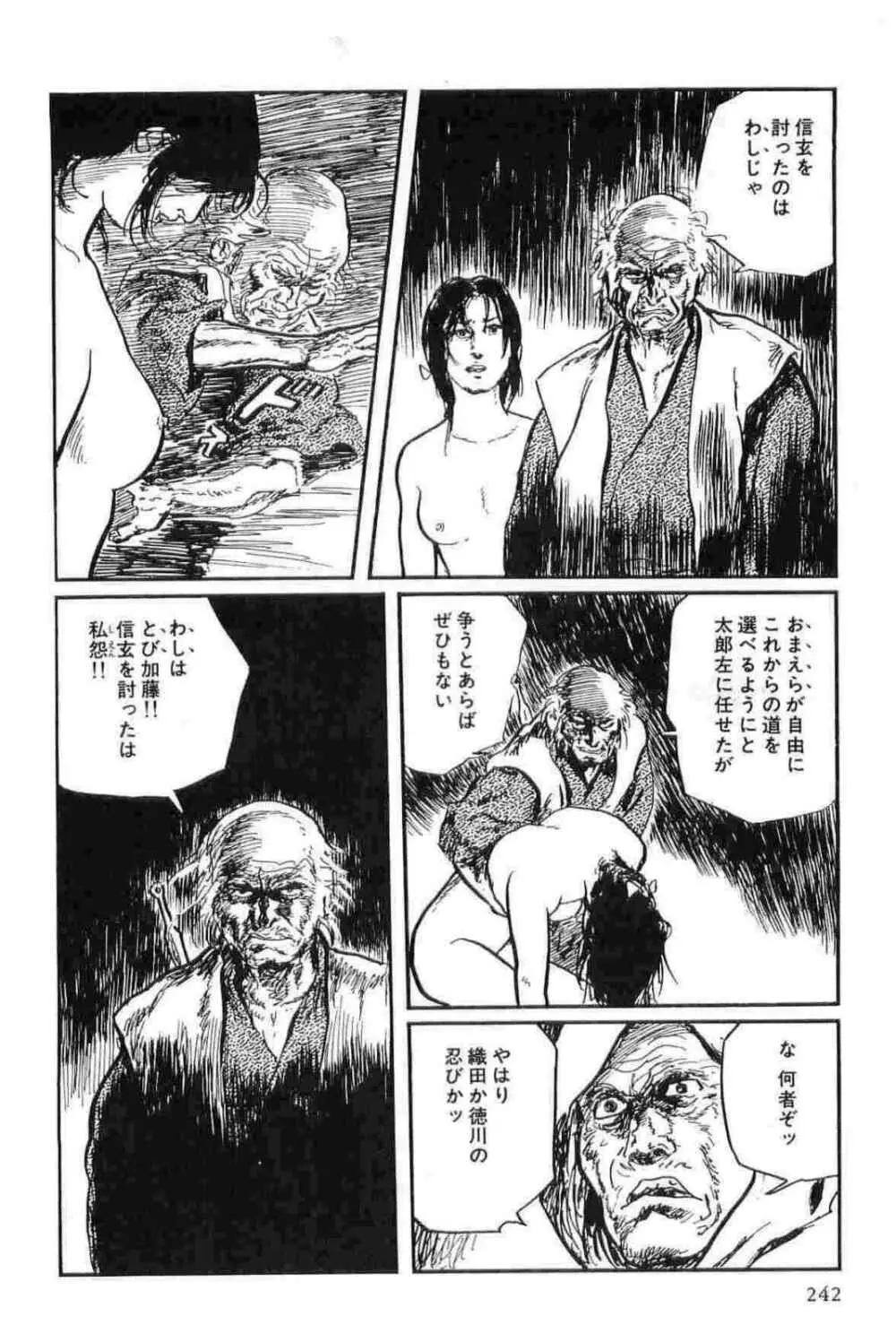 半蔵の門 第13巻 Page.245