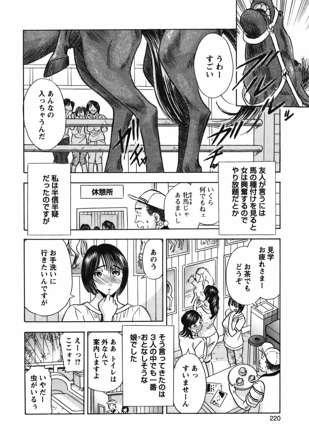 COMIC バズーカ 2012年01月号 Page.219