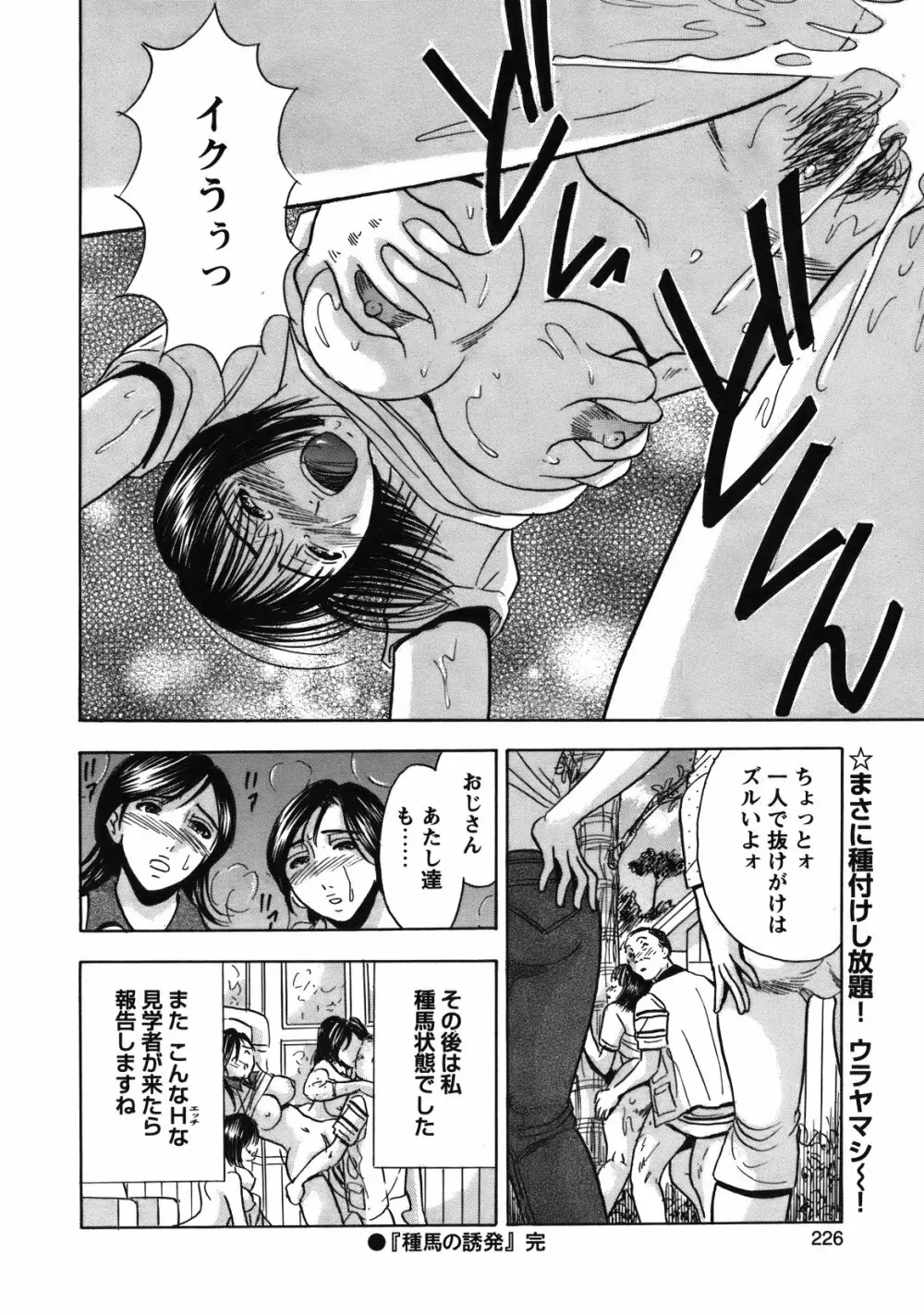 COMIC バズーカ 2012年01月号 Page.225