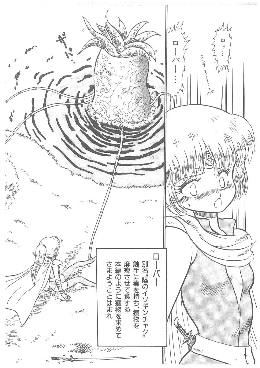 逢魔伝 レオナの剣 Page.30