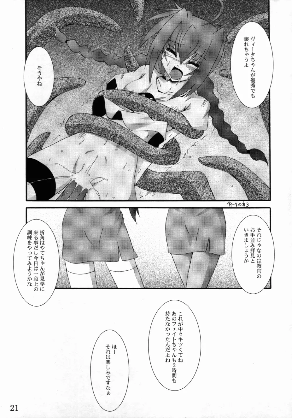 ヴィータの本 4 Page.20