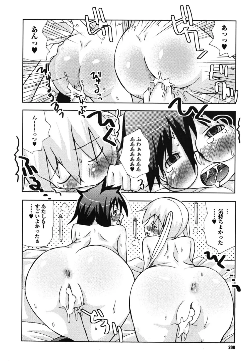 SEXしようよ! お姉ちゃん Page.209