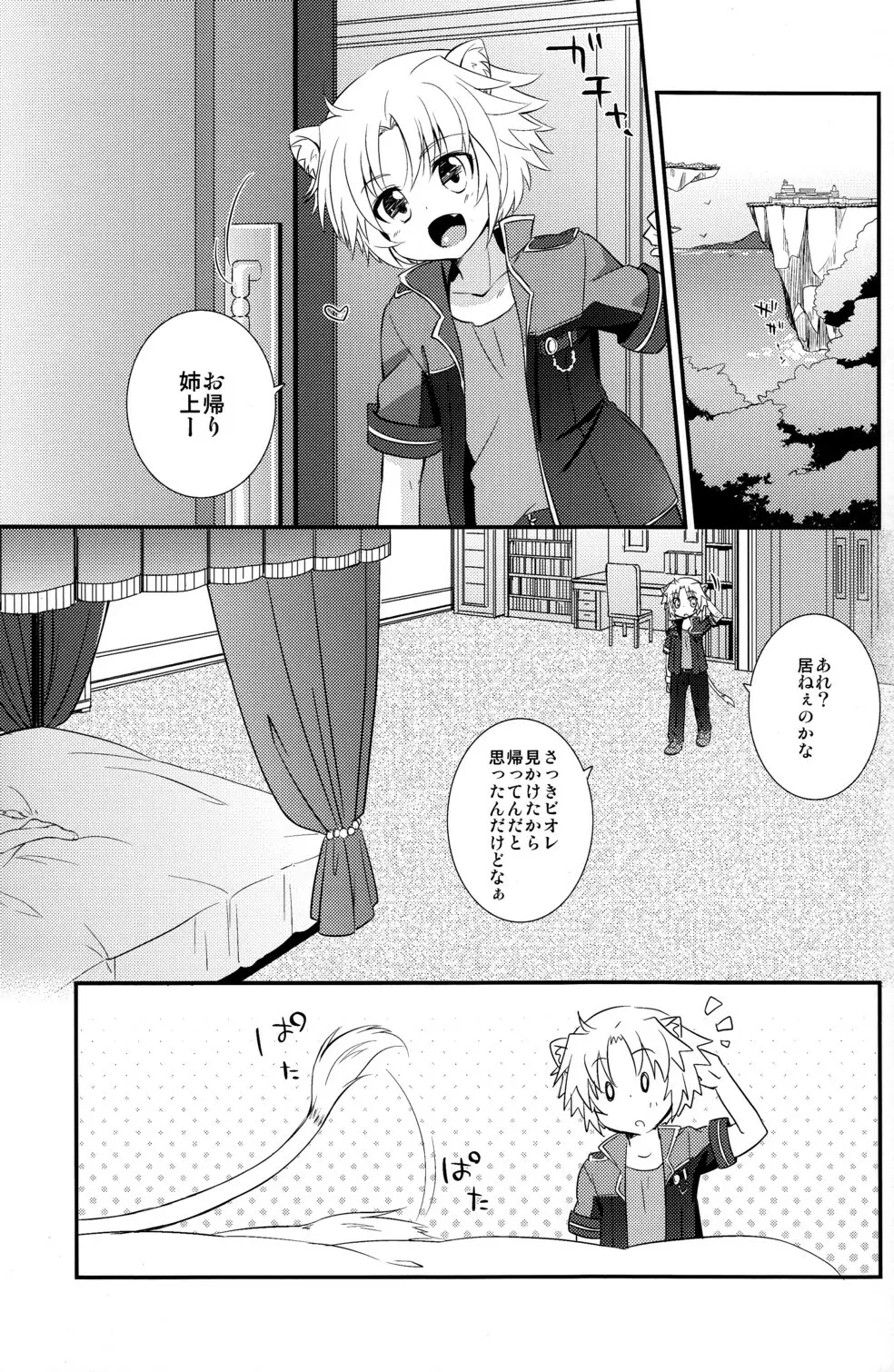 姉上のいうとおり Page.5