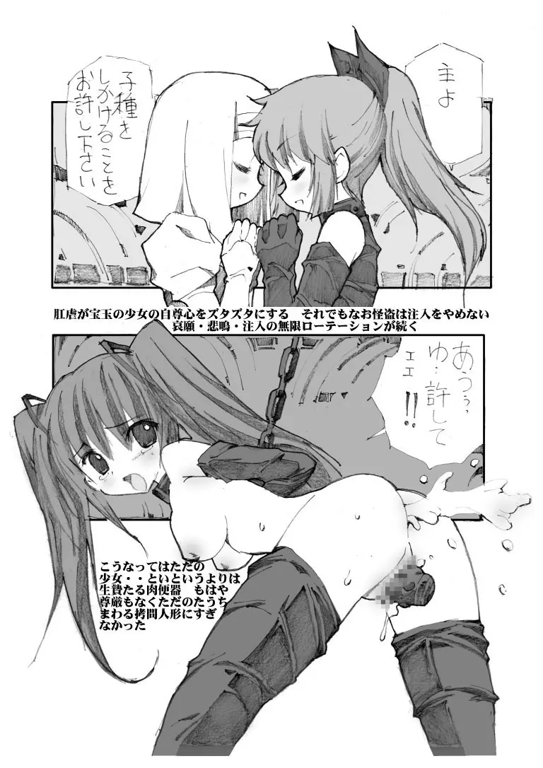 美少女怪盗陵辱拷問調教 Page.15