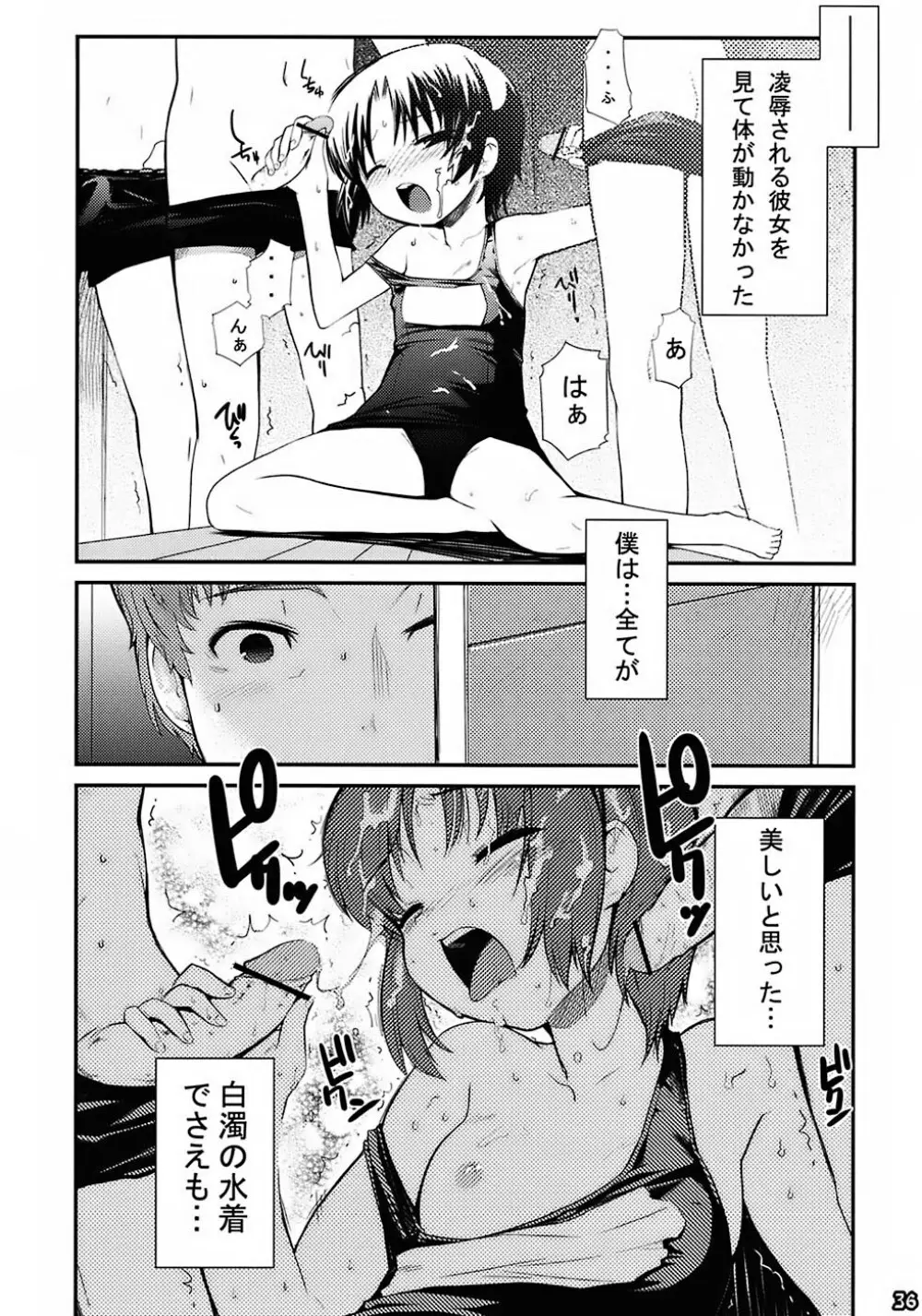 翡翠 ~カワセミ~ Page.35