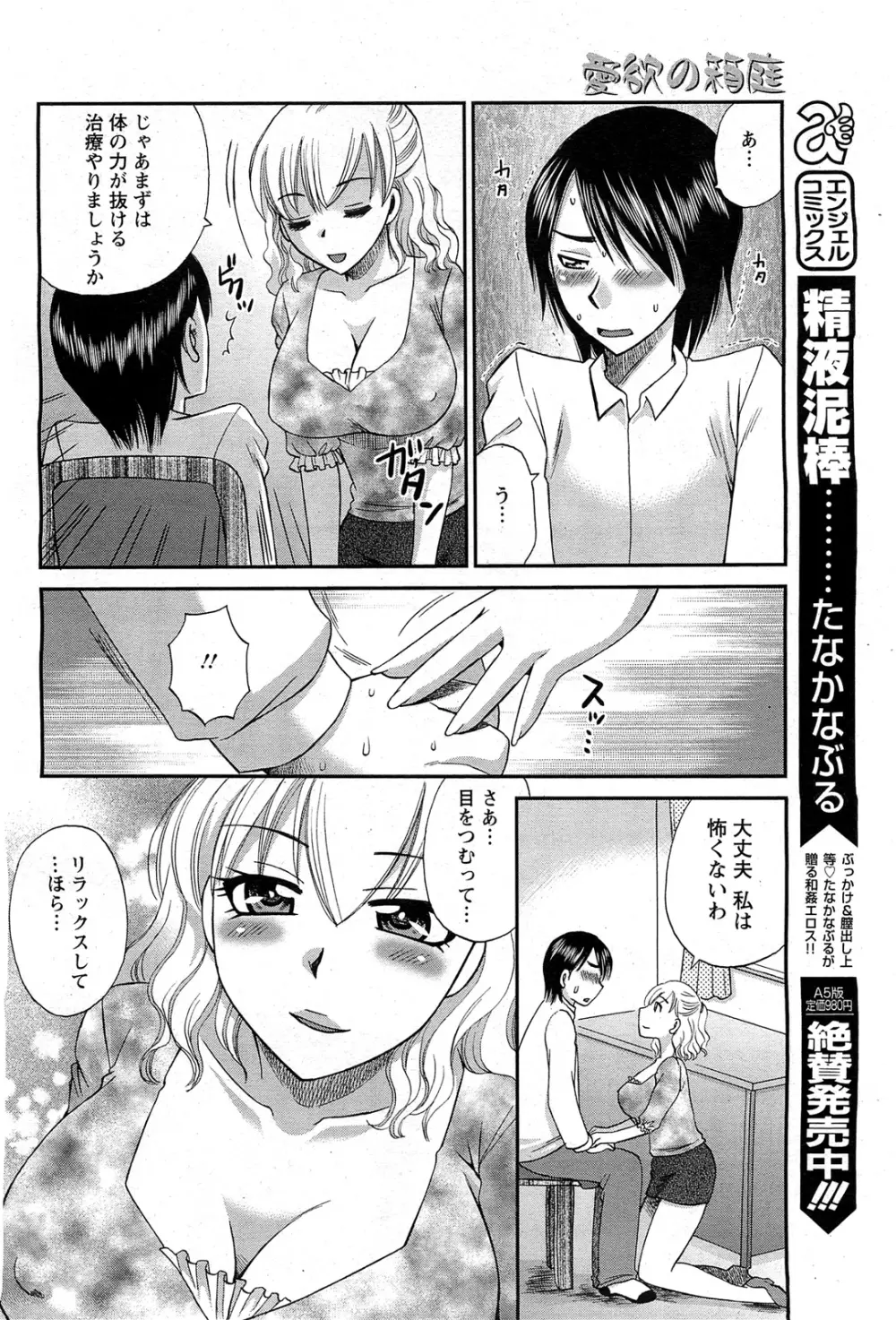 ANGEL 倶楽部 2011年7月号 Page.377