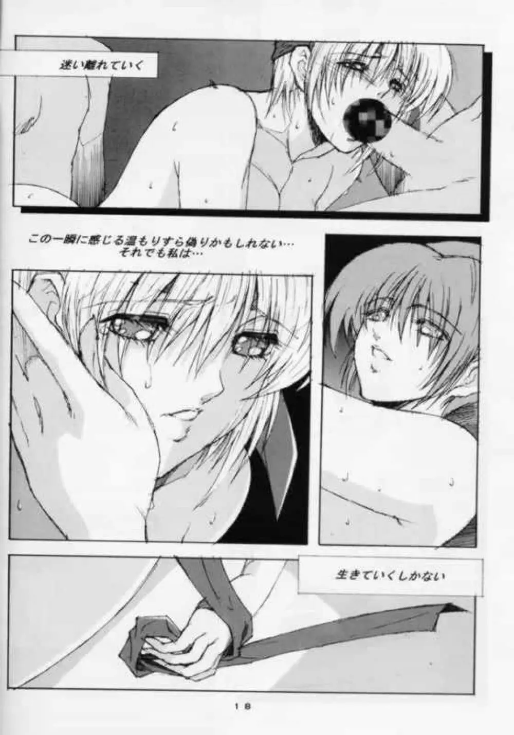 DA +PLUS Page.17