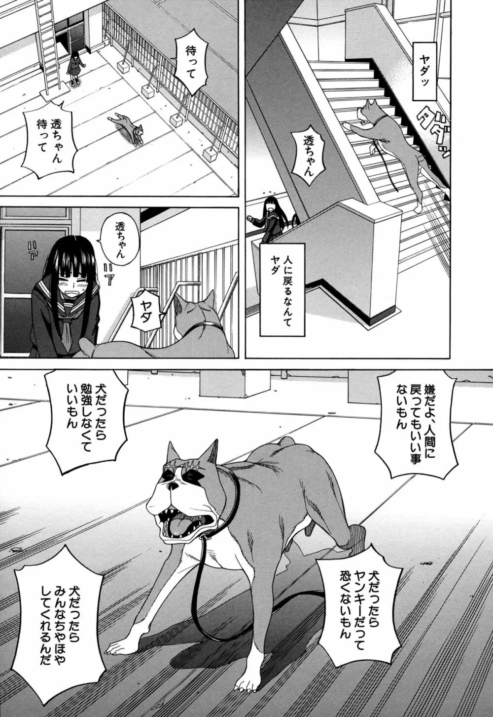 モテる犬の生きざま Page.183
