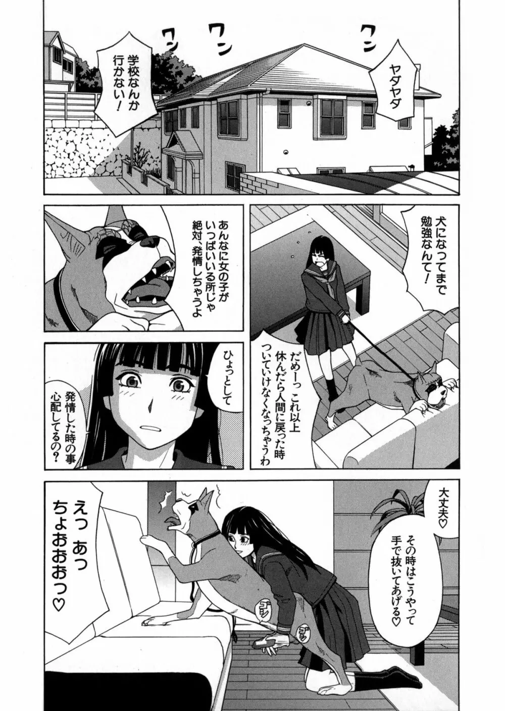 モテる犬の生きざま Page.9