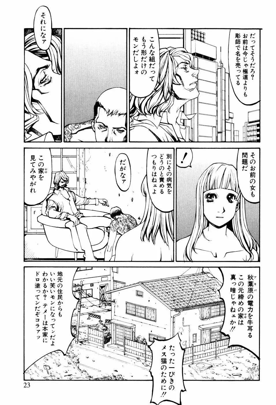 電気夢想花 Page.20