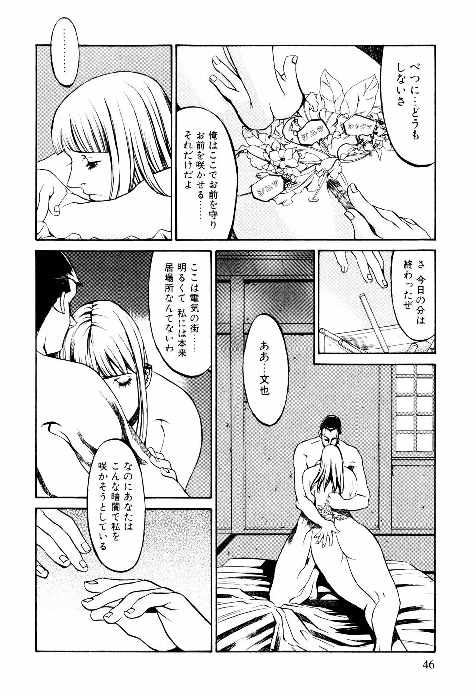 電気夢想花 Page.43