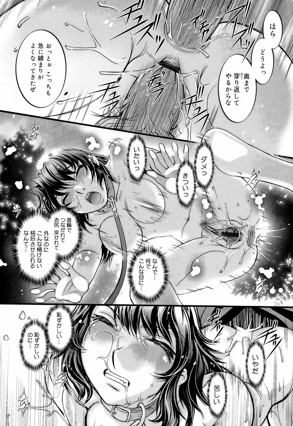 アネトリス Page.231