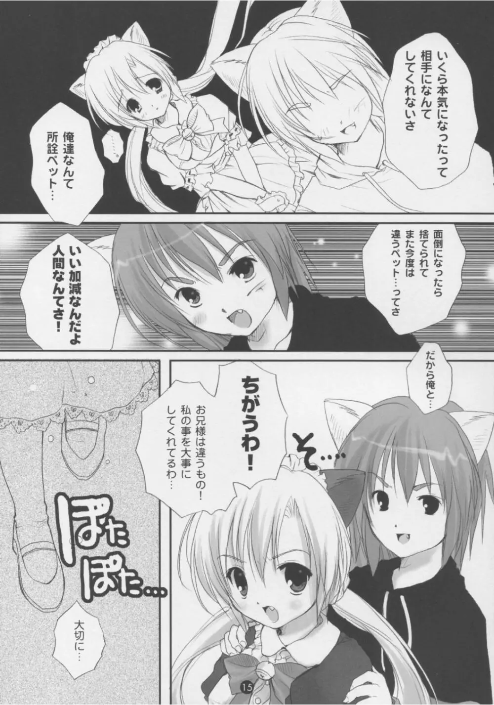 電撃ねこみみパラダイス Page.14