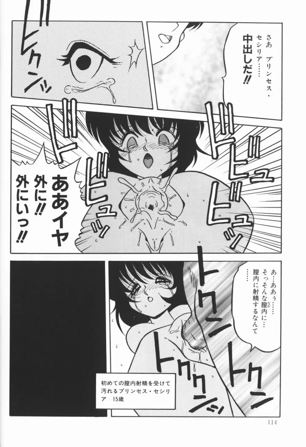 チェリームーンSUPER！ Vol.5 Page.115