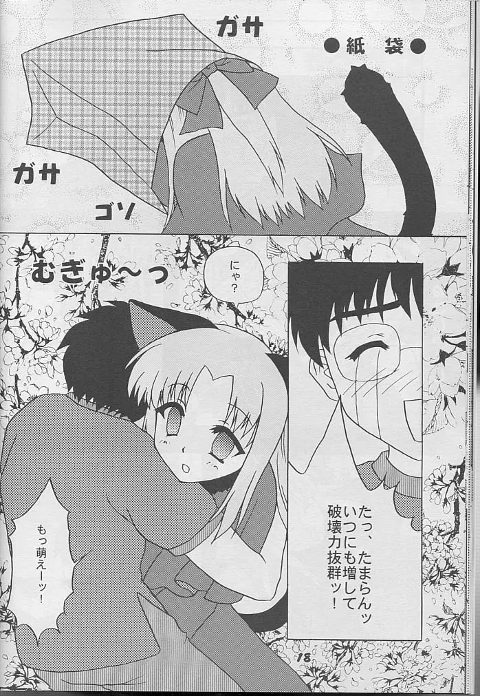 BLACK CATS第14号 反転黒猫娘 Page.17