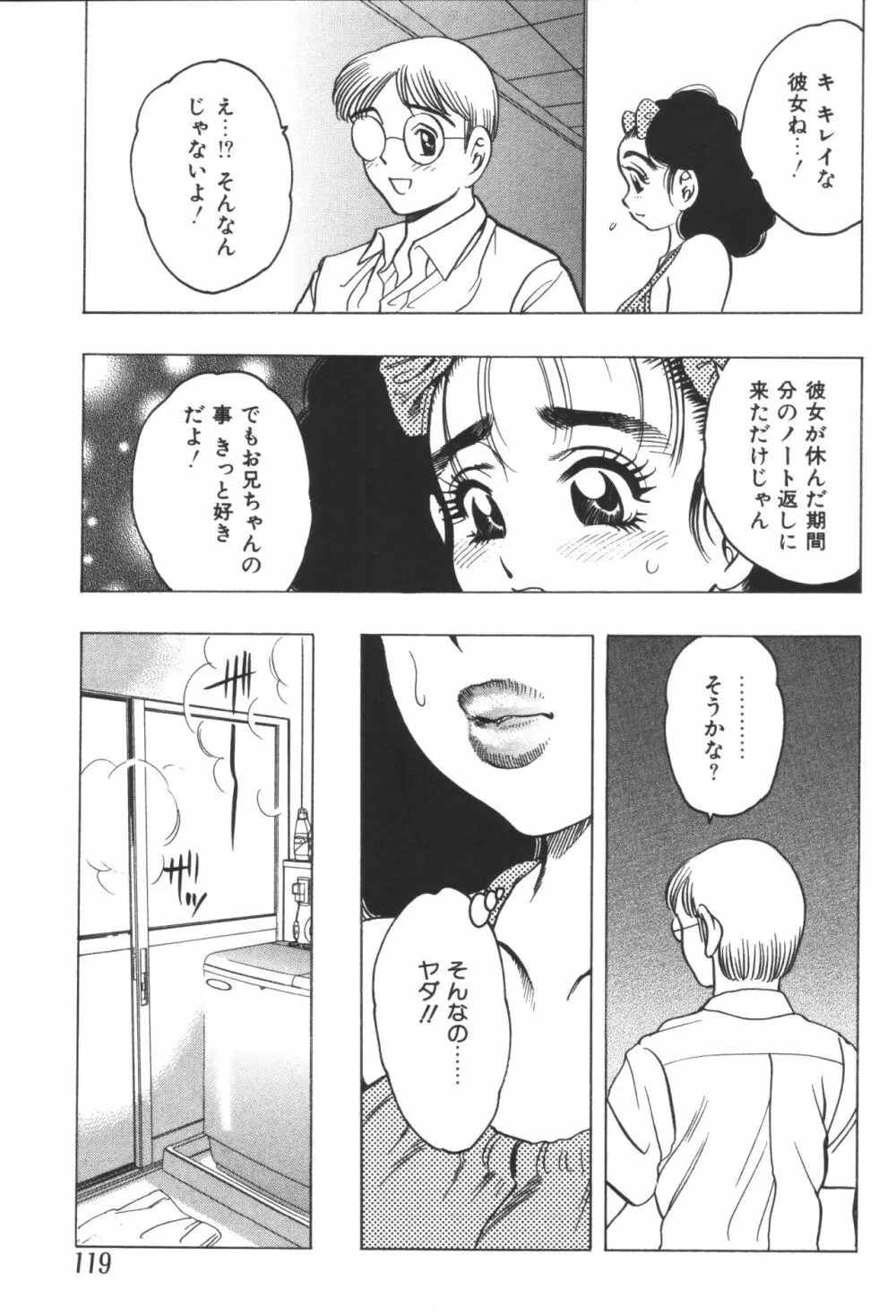 妹恋し 第06巻 実兄妹近親相姦 Page.121