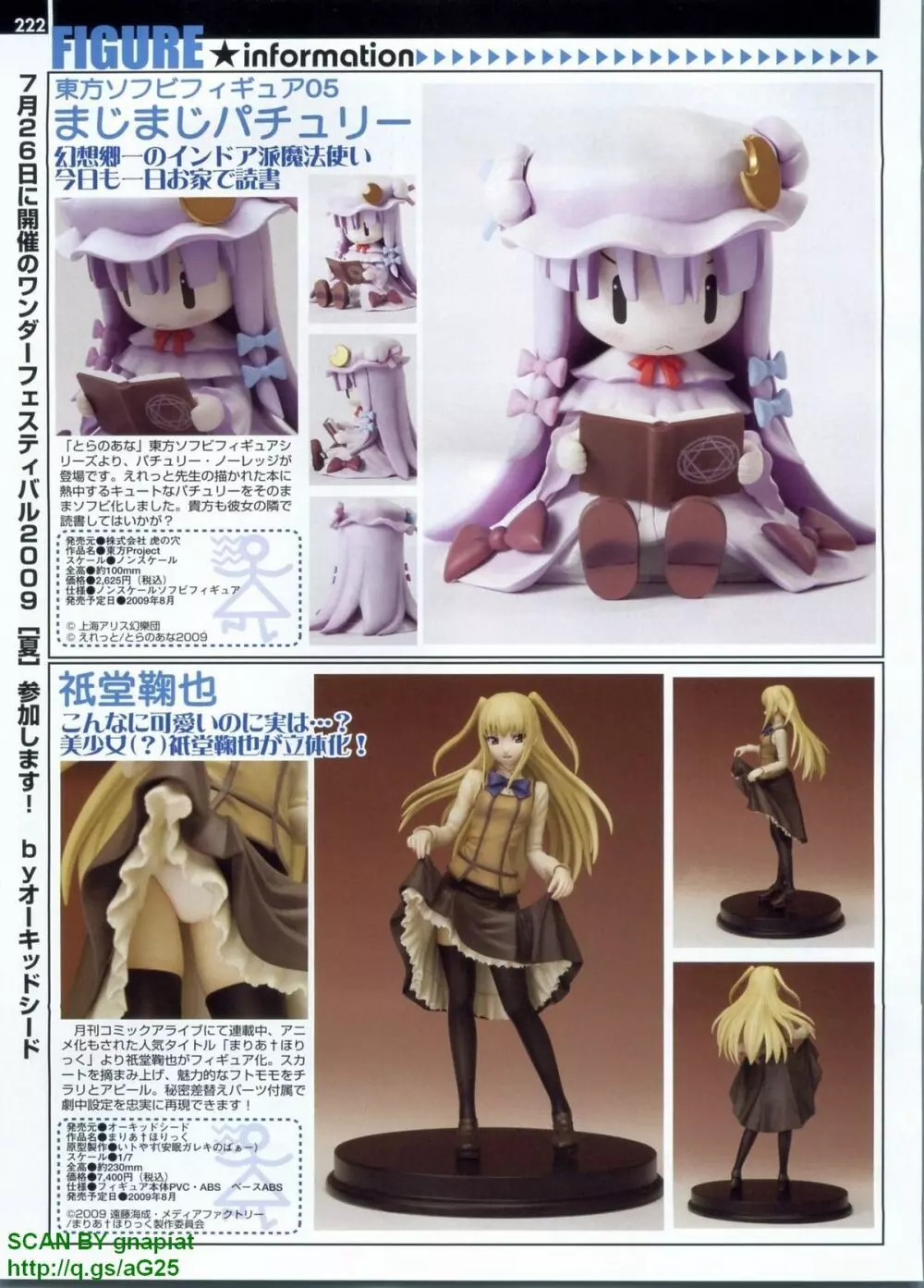 パソコンパラダイス 2009年8月号 Vol.207 Page.222