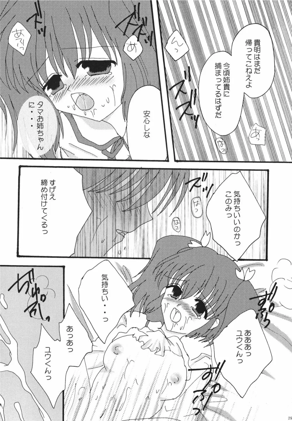 いちごフォンデュ Page.29