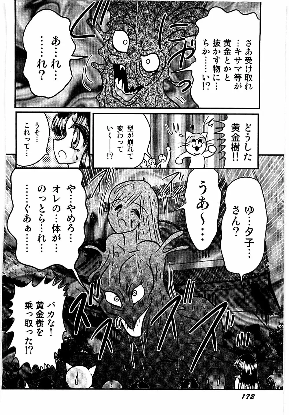 精霊特捜フェアリィセイバー 天狗団の陰謀 Page.171