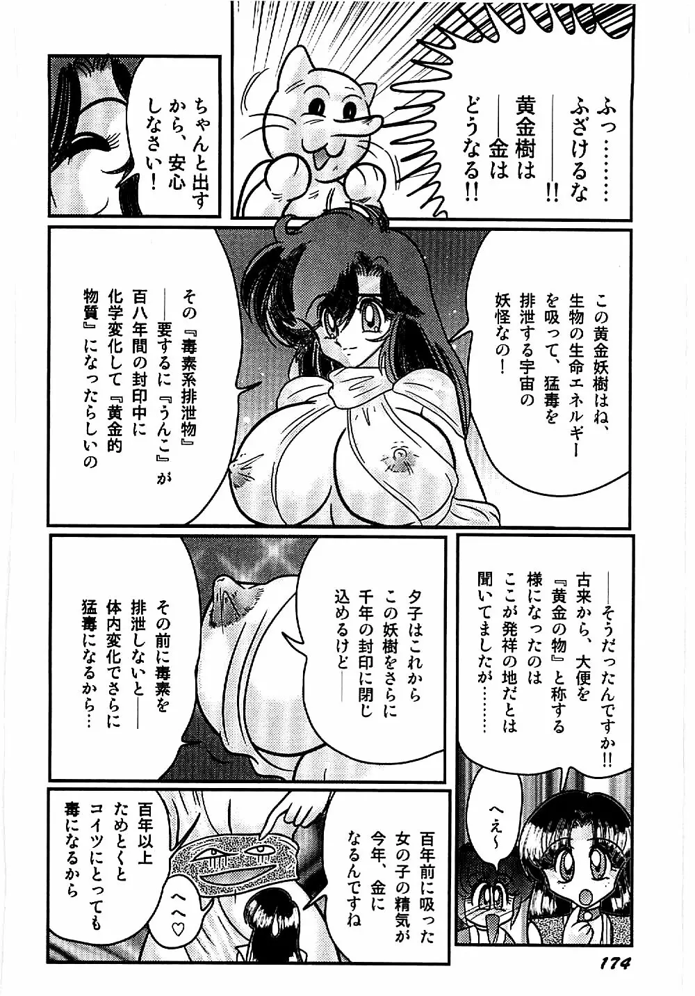 精霊特捜フェアリィセイバー 天狗団の陰謀 Page.173