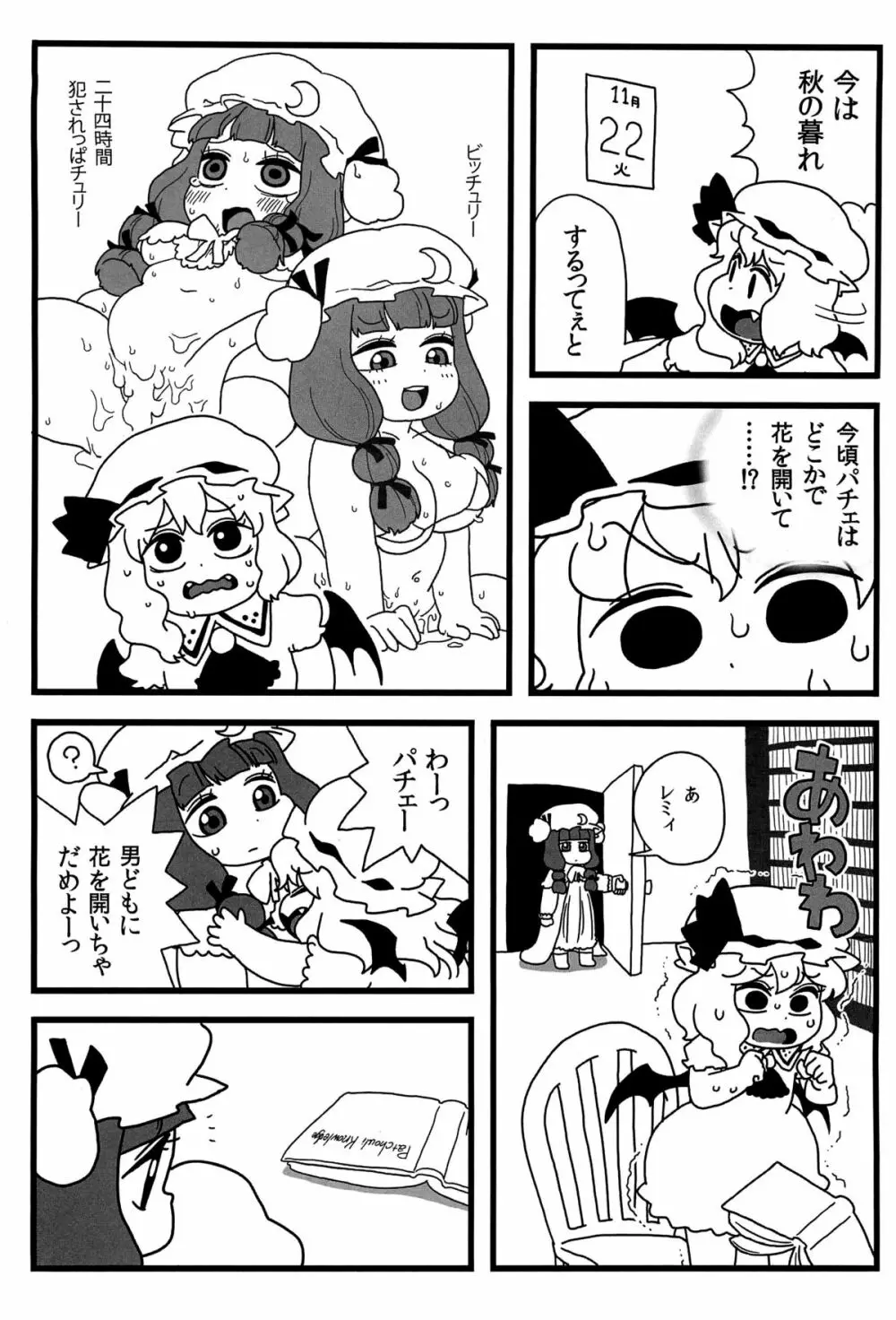 パチュリーがいっぱい Page.11