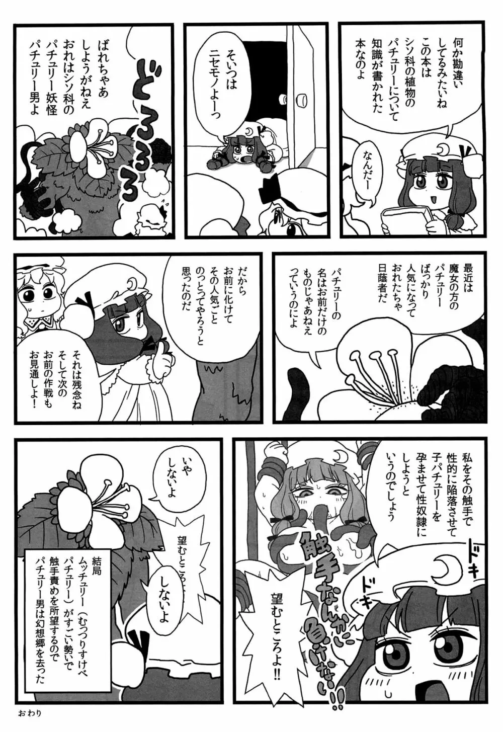 パチュリーがいっぱい Page.12